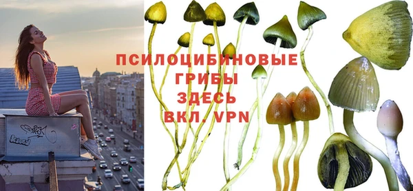 дмт Абдулино
