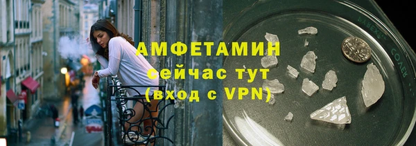 сатива Дмитриев