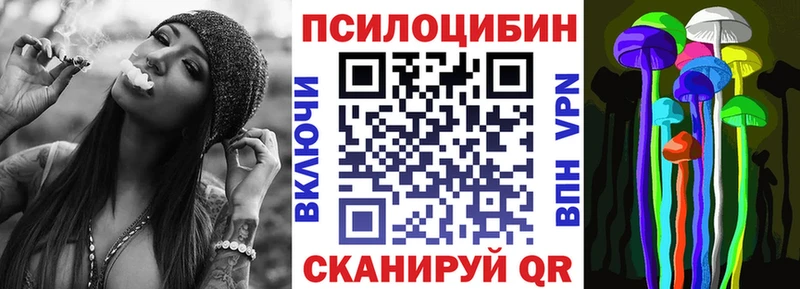 mega tor  Ангарск  Галлюциногенные грибы Psilocybe 